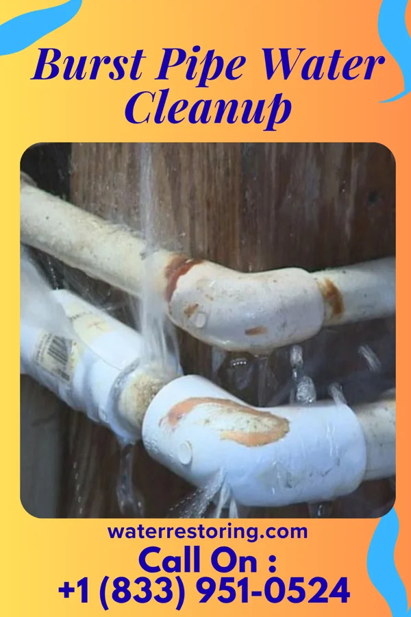 Burst Pipe Water Cleanup in Lake Arthur Estates, PA