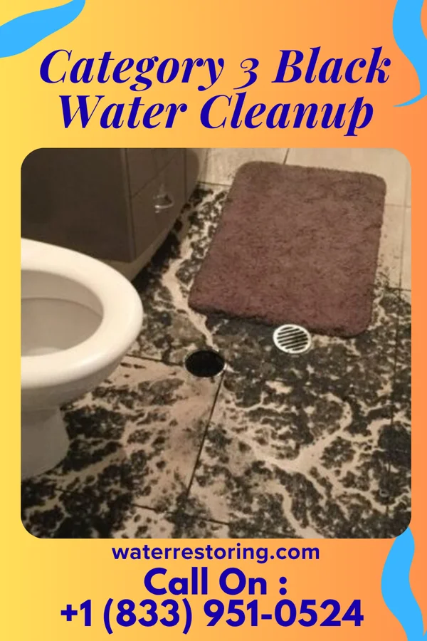 Category 3 Black Water Cleanup in Lake Arthur Estates, PA