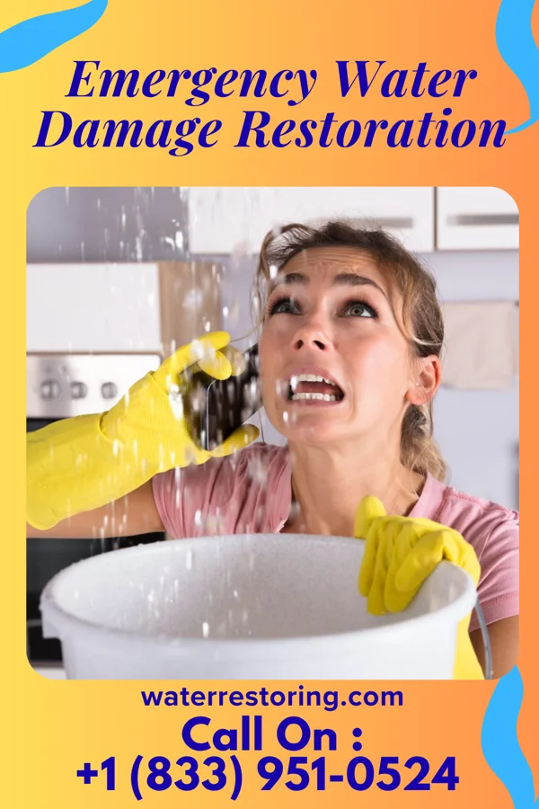 Emergency Water Damage Restoration in Lake Arthur Estates, PA