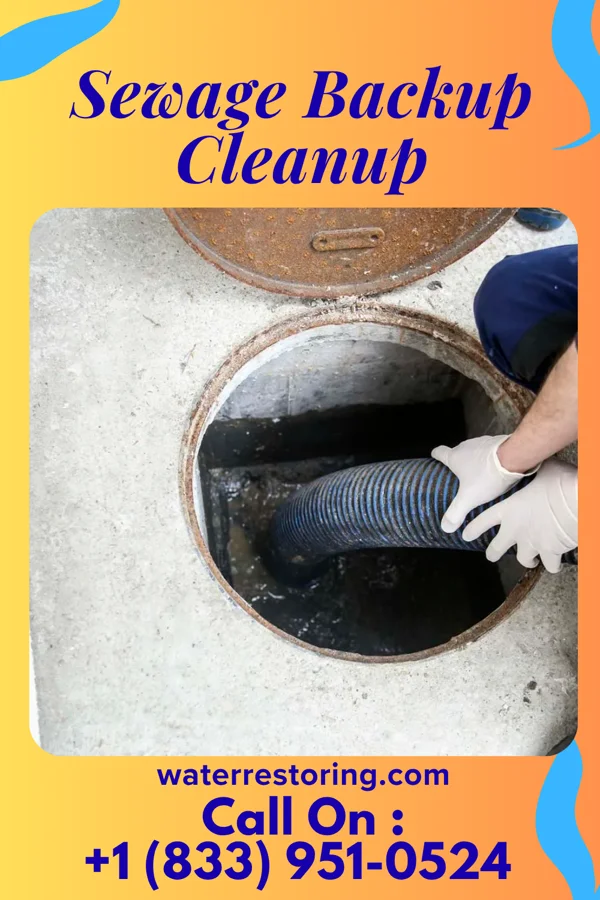 Sewage Backup Cleanup in Lake Arthur Estates, PA