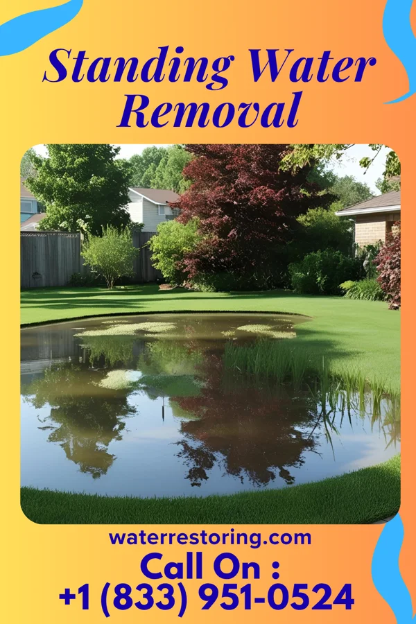 Standing Water Removal in Lake Arthur Estates, PA
